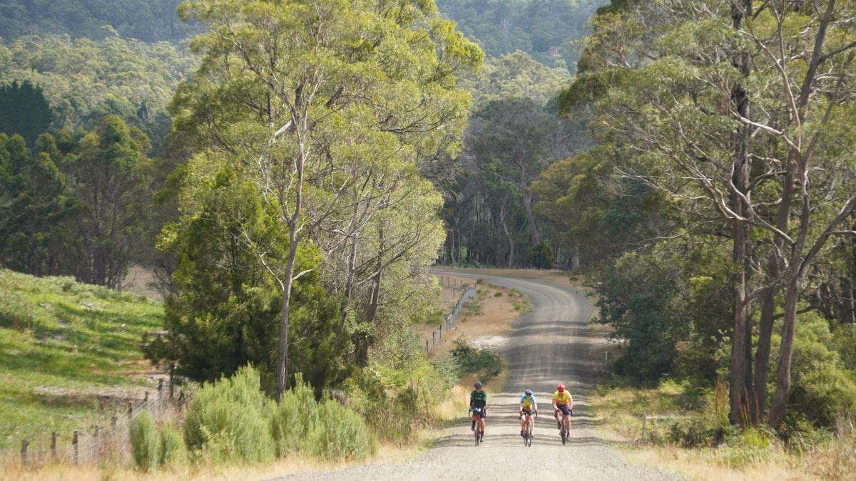 Odyssey Tasmania
